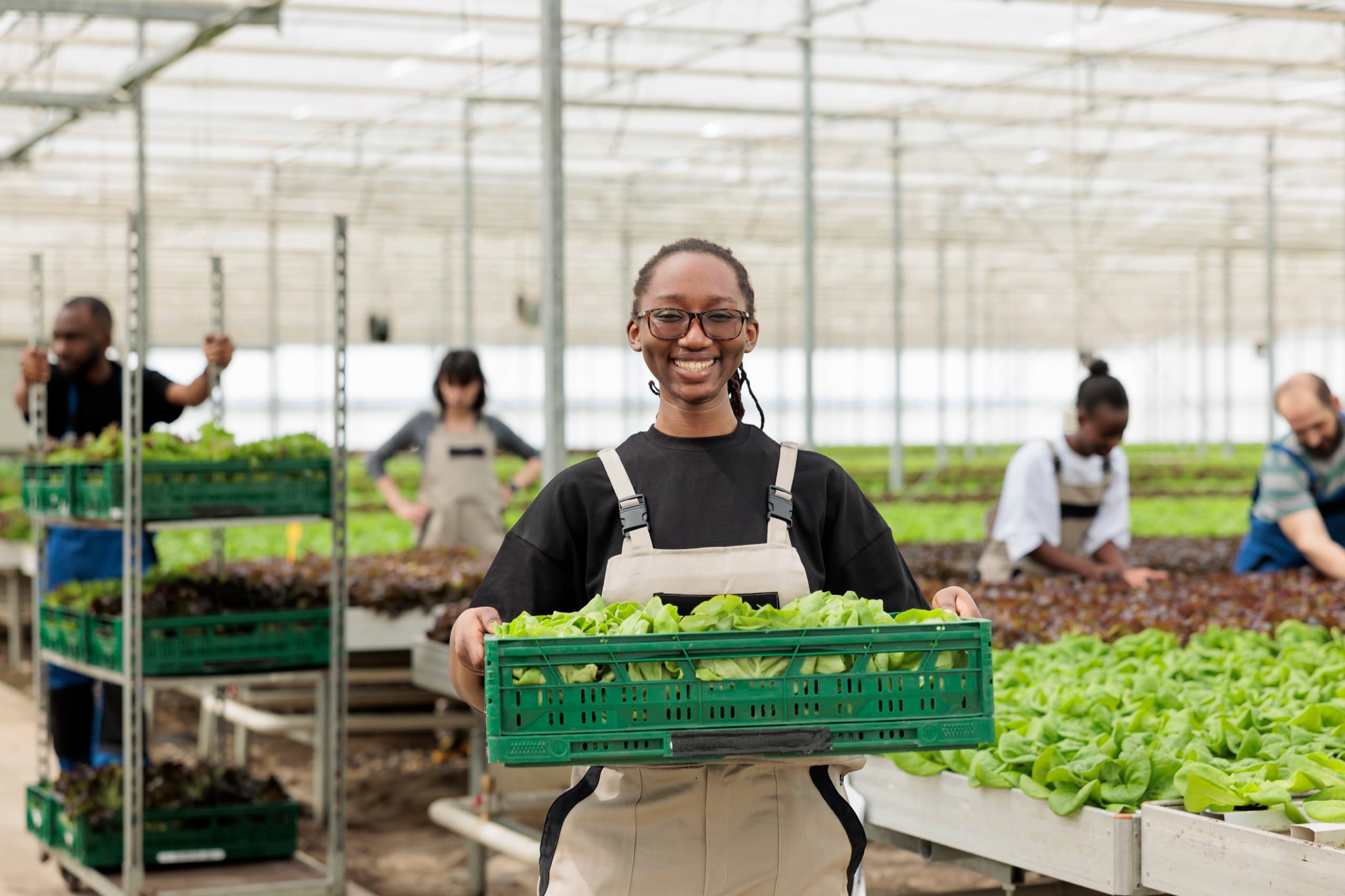 Indusol Africa agriculture solutions